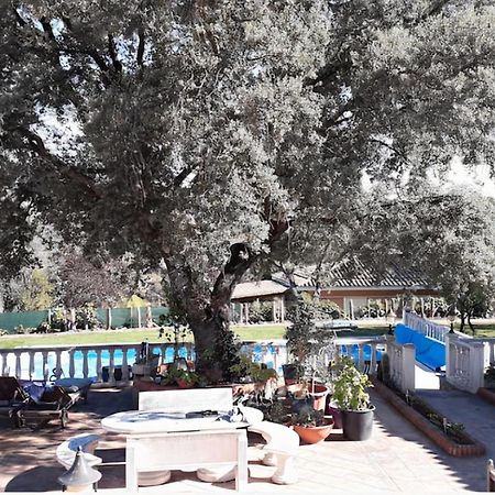 Lovely Home, Cozy Corner In El Bosque, Madrid. Villaviciosa de Odon Ngoại thất bức ảnh